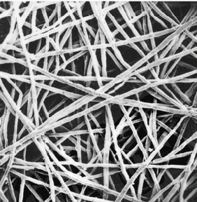 ������ά�ս�ձ